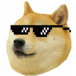 Cool Doge Club!