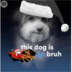 This Dog Is Messed Up Bruh INC