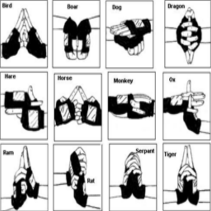 Naruto Ninja hand sign Roblox decal