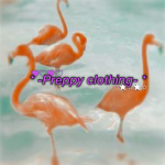 * -Preppy clothing- *