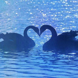 with you
