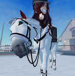 Silver Night Stables