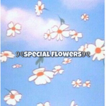 Special Flowers