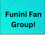 Funini Group