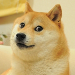 The Awesome Doge Club!