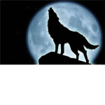 Wolf Pack Legionares