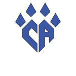 •cheer athletics bloxburg•