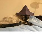 Da Cat In Da Hat