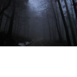 DarkVEINS
