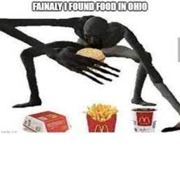(Discontinued) McDonalds in Ohio!