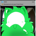 Zac's Furry Group