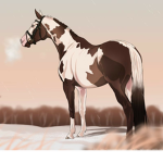 Forest hills riding academy
