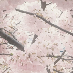 ♡