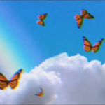 ..butterfliesx
