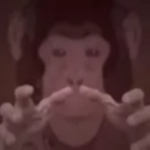 MONKE SOCIETY!