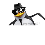 Penguins Kings of the world