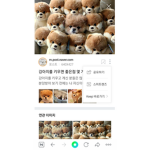 원피스