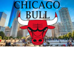 CHICAGO BULL