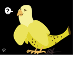 bird banana.