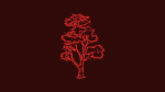 CherryWood Mercenary Group