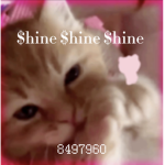 $hine $hine $hine
