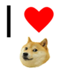DOGE ACADAMY