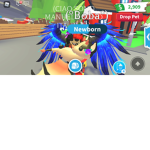 LE SCIMMIE