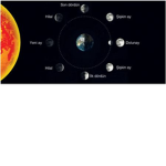 selum