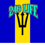 246 Life