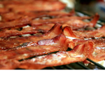 bacon life