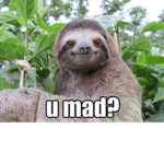 Team Sloth Forlife