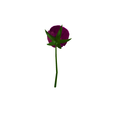DK's Purple Rose thumbnail