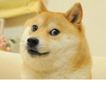 Ze Doge Clan