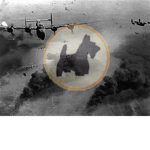 372nd Bombardment Squadron