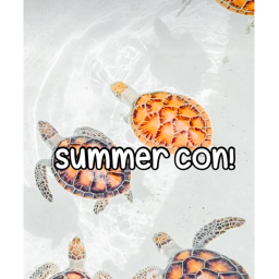 Summer con!