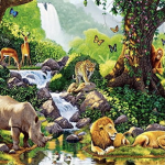 The Animal Fun Center Educational Group