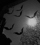 For me and my halloween Peeps