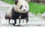 M@jd