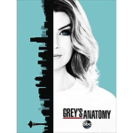 ~Grey's Anatomy~