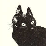 - Kitty Clothing -