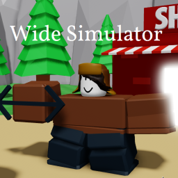 Wide Simulator