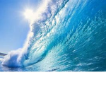Wavyclan
