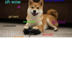 DOGES ARE LOVE AND LIFE