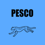 Pesco Youtube server