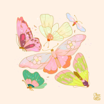 I believe in fairies