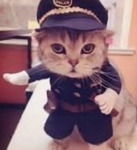The anti-cringe police