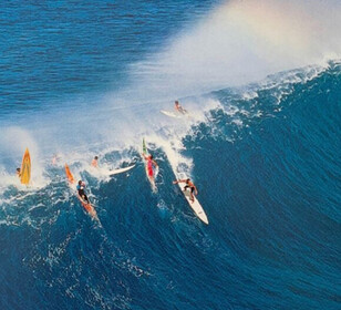  Surf Town🌊🌴🥥🐠