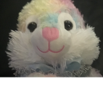 Richie the bunny and friends