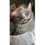 Abcdefgowbdiwp