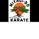 Karate fighting club